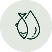 Total Omega 3