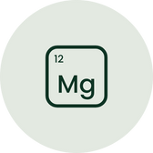 Magnesio elemental