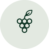 Trans-Resveratrol